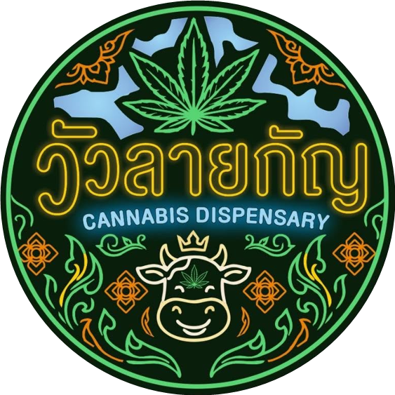 วัวลายกัญ Cannabis Dispensary
